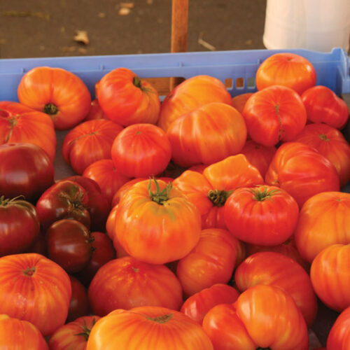 The Health Benefits of Tomatoes